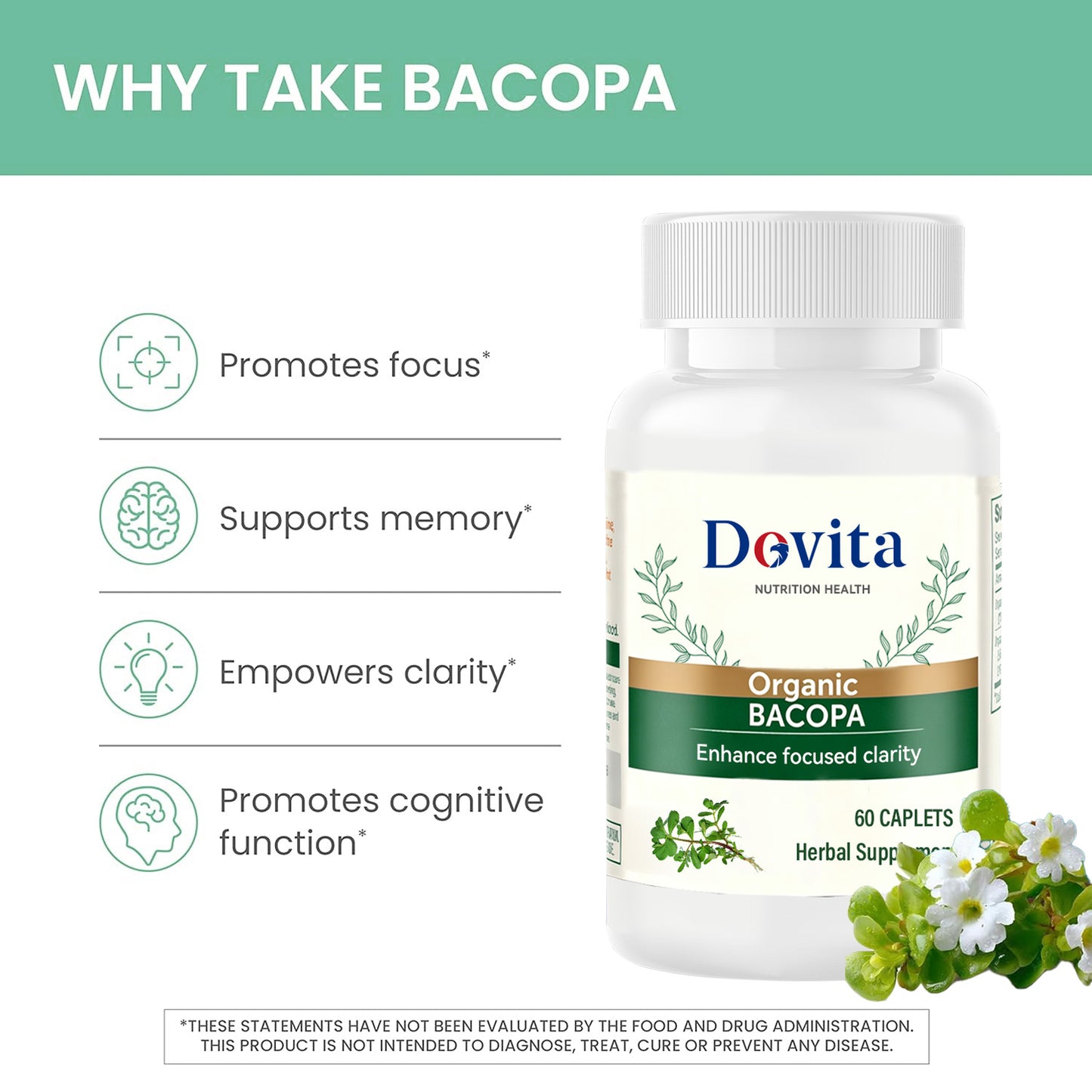 Organic Bacopa Capsules, Super Concentrated Extract for Memory & Cognitive Support, Enhance Focused Clarity, Herbal Supplement, OEM/ODM