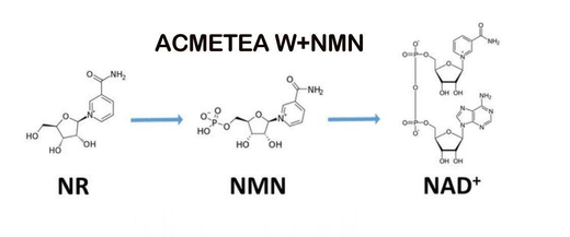 NAD+ in Nutritional Supplements: A Key to Energy, Anti-Aging, and Better Health