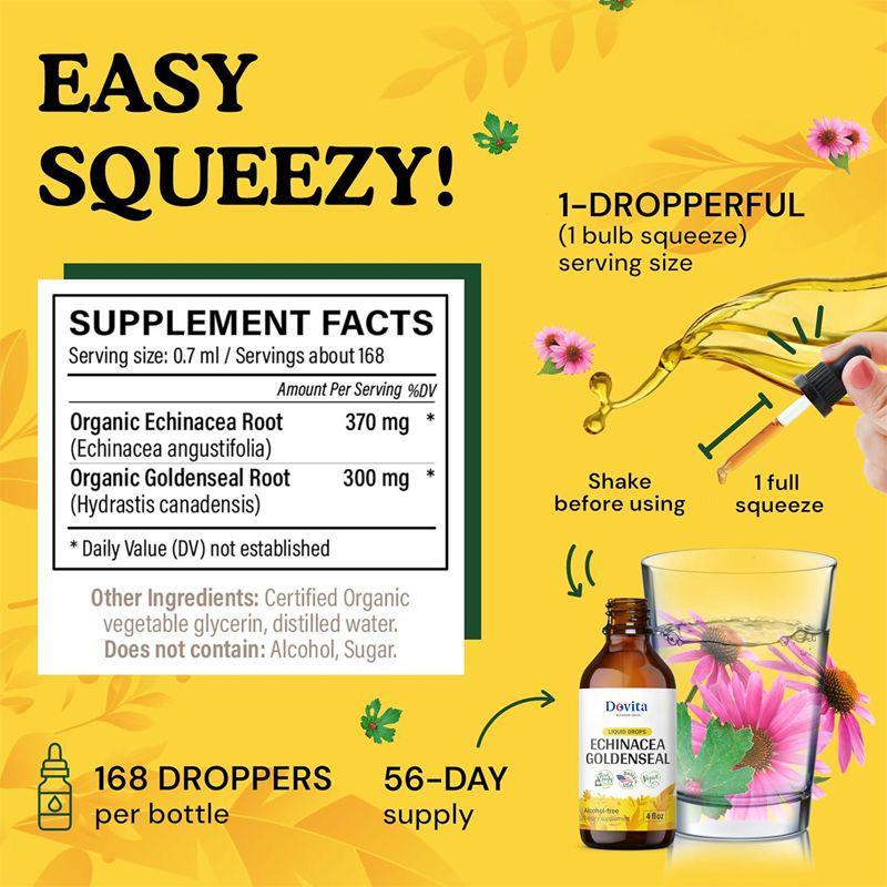 Wild Echinacea Goldenseal Tincture, Echinacea Drops with Goldenseal Root for Immune & Lung Support, Vegan, OEM/ODM