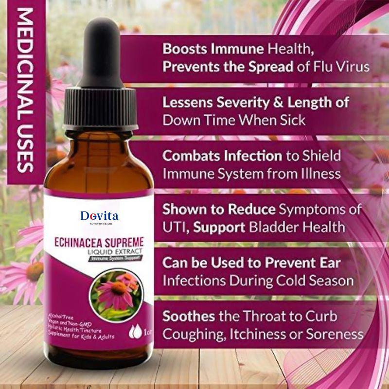 Echinacea Drops Liquid Extract, Natural Immune Support Herbal Defense Supplement for Kids & Adults, OEM/ODM